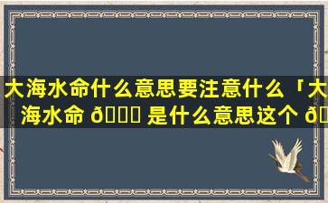 大海水命什么意思要注意什么「大海水命 🐛 是什么意思这个 🌷 命好不好」